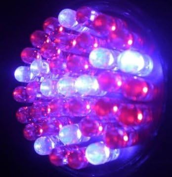 Сверхяркие светодиоди Jumbuk 38 - 2 инча - САМО за лампи с нажежаема жичка (червено и синьо)