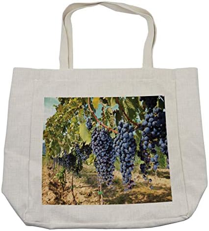 Чанта за покупки от грозде Ambesonne Редиците на Вино, плодове от Тоскана, Италия, е Органичен Натурален реколта