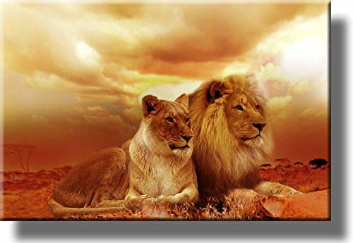 Африканският Лъв и Лъвица Картина на Опънато Платно Стенен Арт Декор в Рамка е Готова да бъде обесен!