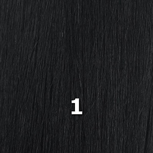 Janet Collection Noir 2X Mambo Twist Braid 24 1 Цвят (черен jet black)