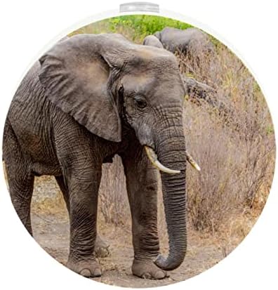 2 Бр. Plug лека нощ Led нощна светлина Африкански Слон Сив Прогулочный Гора с Датчик от Здрач до Зори за Детска