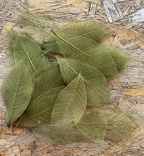 Тайландски Ръчно изработени от 100 бр Маслинено-Зелен Скелет Листа Каучуково Дърво Натурален Албум За Изрезки