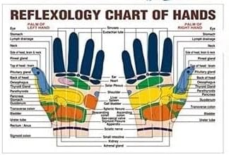 Комплект за точков масаж JAPJY с пръстен Суджок и палеца с таблицата на рефлексотерапията дланта на ръката си: