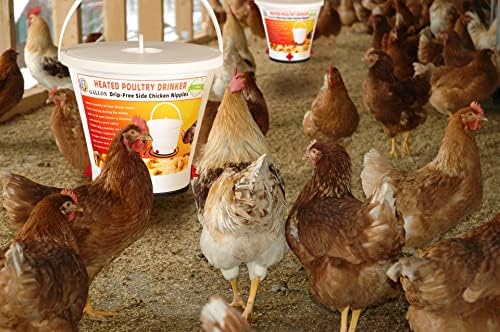 H & G начин на живот Пиенето за домашни птици, с топъл Кофа за вода с нагревател за Пилета на 4 Литра Подвесная